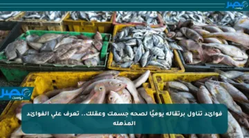 فوائد تناول برتقالة يوميًا لصحة جسمك وعقلك.. تعرف على الفوائد المذهلة